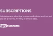 Plugin WooCommerce Subscriptions v4.8.1