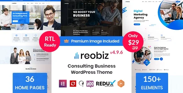 Reobiz - Consulting Business WordPress Theme