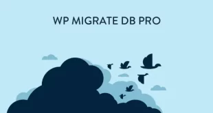 WP Migrate DB Pro v2.6.1 Nulled WordPress Plugin