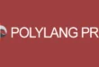 Polylang Pro v3.4.2 – Multilingual WordPress Plugin