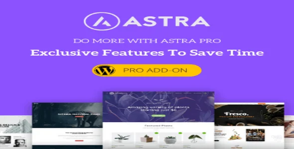 Astra Pro Addon – Astra WordPress