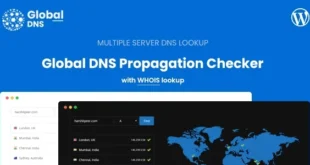 Global DNS - DNS Propagation Checker - WHOIS Lookup - WP