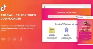 TikTok Video Downloader Without Watermark & Music Extractor